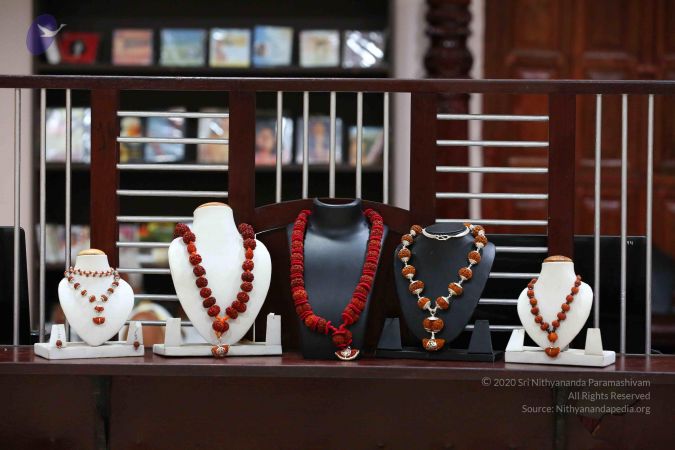 20161206 Photo 2419 1I8oQicss3nfsE4hCHw6Xtzrx7QIGRO7t.JPG