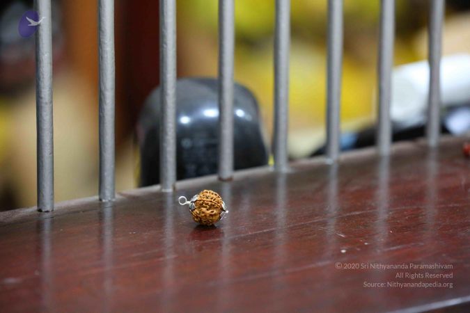 20161206 Photo 2425 1wQddUl5y2GmNiN5yDrNGv8DMtCPH8D-w.JPG