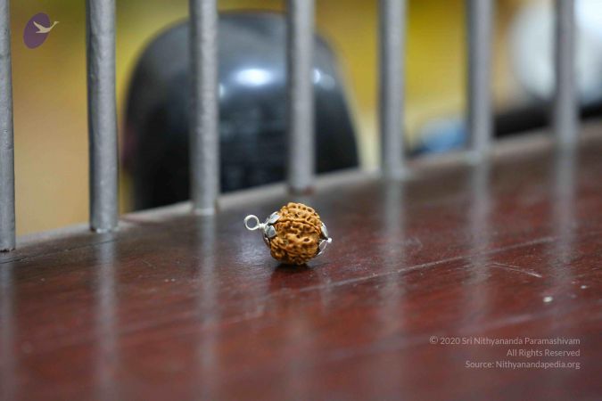 20161206 Photo 2428 1viH5oTKkS7nlsz4aZpAa93TR5gUJJKWw.JPG