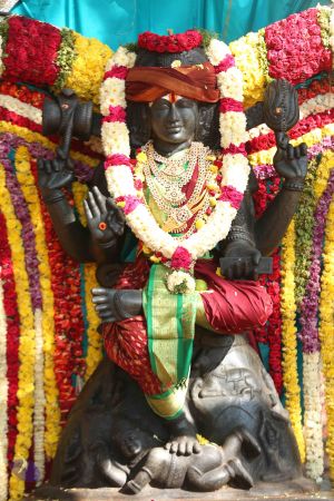 20161207 Photo 1092 1GzSJDFO6TPT9RAtpogTvH826F0VPqWMj.JPG