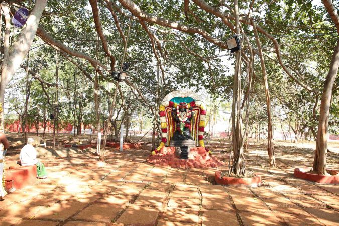 20161207 Photo 1108 1Elj9iJ5PI6gUkuduOns7h6WcgcaKwYWG.JPG