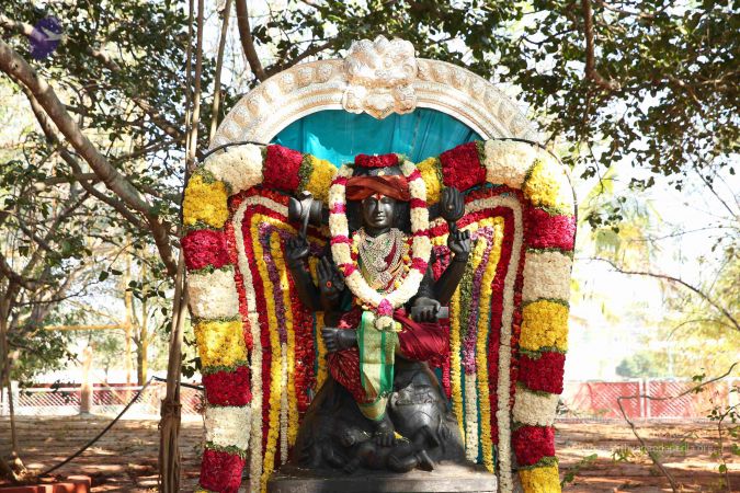 20161207 Photo 1110 1BvCqA6GxH99qLgLppXKWzHYpOZBUIUuY.JPG