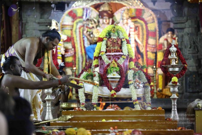 20161207 Photo 1391 1mSxvy1OKCGxjSGjw6RgRPVi xsLeH103.JPG