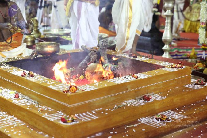 20161207 Photo 1687 1U-B4zJhV7XqAFt836GiBOyYebz 01gNs.JPG