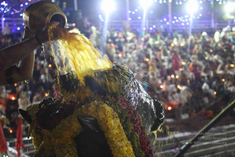 File:20161208 1050 CMP WM.jpg