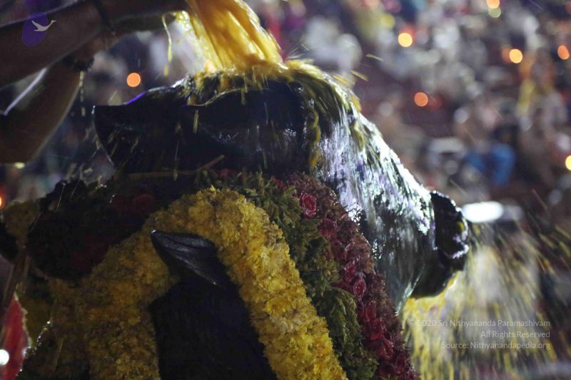 File:20161208 1053 CMP WM.jpg