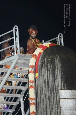 20161208 4295 CMP WM.jpg