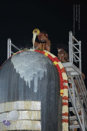 20161208 4348 CMP WM.jpg