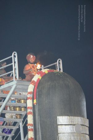 20161208 4447 CMP WM.jpg