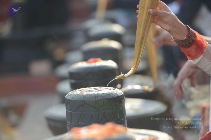 20161209 Photo 1031 1yVln7hJ g59GUD0ORN V1uK6m46yAwBG.JPG