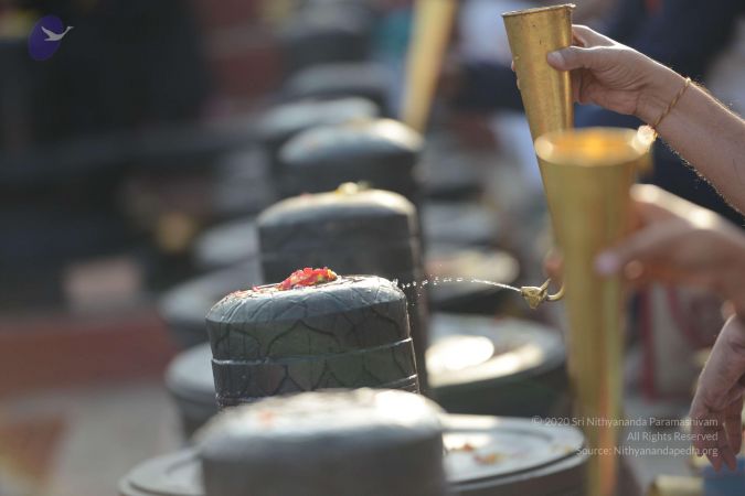 20161209 Photo 1034 1kmlzzx cZQHOxoTvmdnDAAk JUGDHoDP.JPG