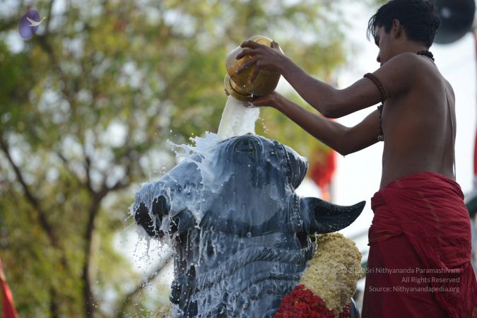 20161209 Photo 1060 1skagtOKOqm9bVTkFoKyowdijfH0bUyjW.JPG