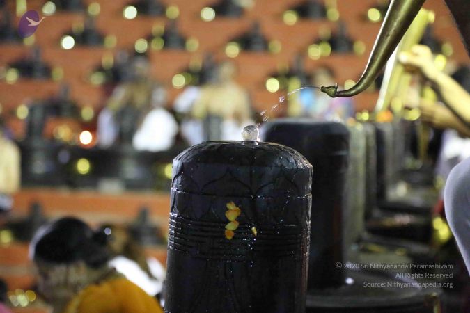 20161209 Photo 1608 1DwgsXMK0yr7Y5n5kpALqmMVaUPEwGfJQ.JPG