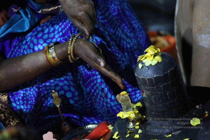 20161209 Photo 2369 1rxyUOQQrGTe7FzzsrGlHbY-N7RztU5JE.JPG