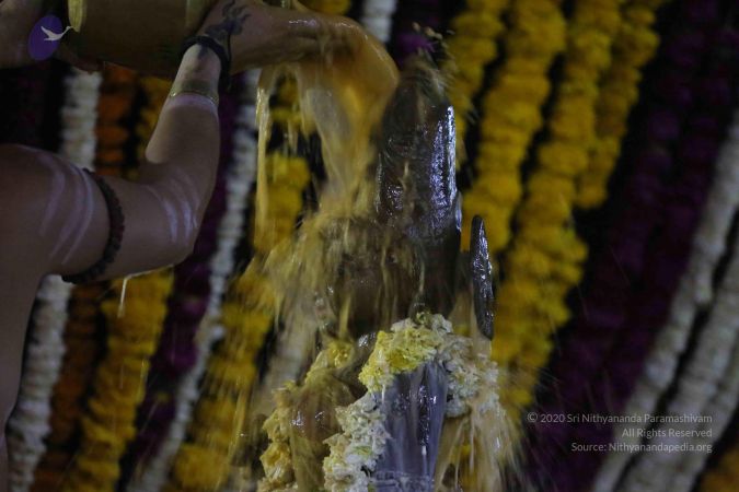 20161211 Photo 1210 1FgHnwYMSSitKEdKoXqzkO0QysJB-Te2r.JPG