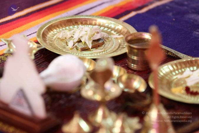 20161212 Photo 1014 1TItoQxSyvlLIzzDHN4gpZPf72NIUXHrq.JPG