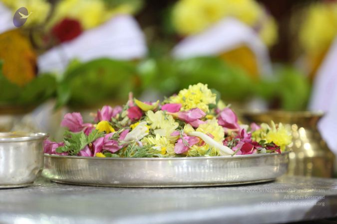 20161212 Photo 1055 1AsPJysrfpoudgBWiZTnCdmrN2-MyUL5V.JPG