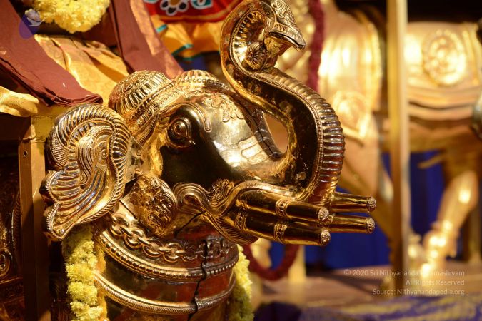 20161212 Photo 1142 1yibDu99ax8msJcW167qe-NvhvOTqQnzV.JPG