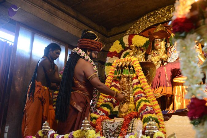 20161212 Photo 1156 1Ldm5QCjwrZ TZkQQmVrsaaxJy9RWFFCx.JPG