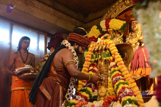 20161212 Photo 1167 1mmWf7NOaeTIsvg9-jrODjTfuK8m8jUUb.JPG