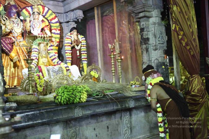 20161212 Photo 1300 1IjELgDV44F3-KIAemRV2PPt99MjAuqDv.JPG