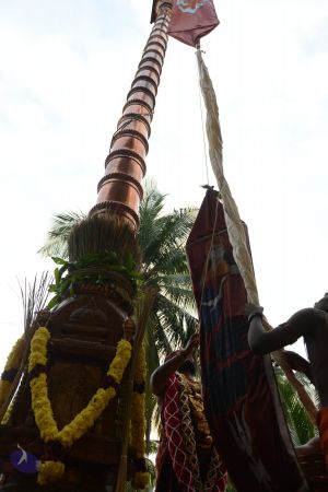 20161212 Photo 1345 1lFeAB 2qxC1vAel4aIB0ejC1BOq1jEbY.JPG