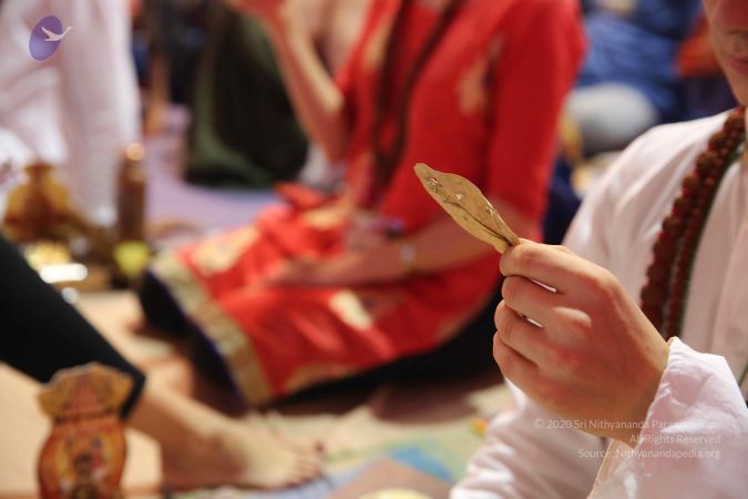 20161212 Photo 1393 1NP5Toymr-9GMgd5XSgiRk-2-yP6QLuw1.JPG