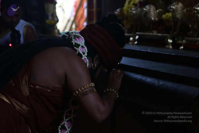 20161212 Photo 1437 1zKUISE6waNET7iJfzhwFJyApxc2TXO7s.JPG