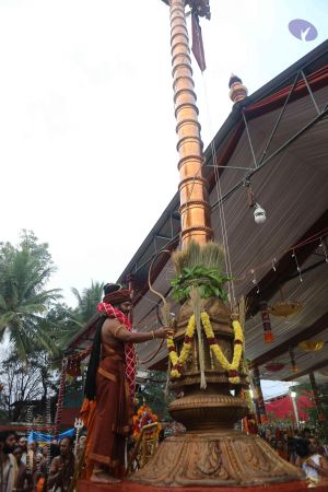 20161212 Photo 1444 1 1wJGVcPwpigqTuYgNrcKDE3oGNNkBne.JPG