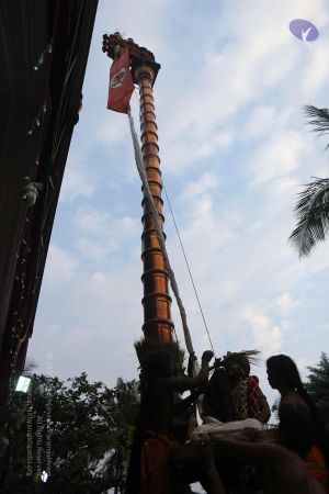 20161212 Photo 1458 1vNVjiIoyhU2JnMX7Jwzs3eiJ8By0HTU8.JPG