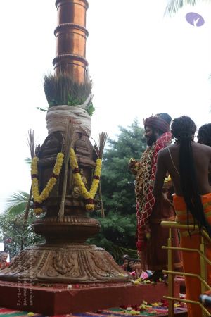 20161212 Photo 1485 1X3gnxmKKWmG7lodRUl8Zstw2ugrSc9mB.JPG