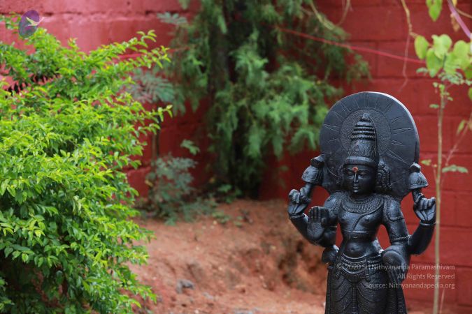 20161212 Photo 1513 1KEw9ziOoDRgGd04T4sKhmw5NZ45AHP4f.JPG