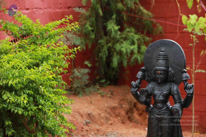 20161212 Photo 1514 1wOBQ2NOnqfmU8leH75BSj0r7w66A-prw.JPG