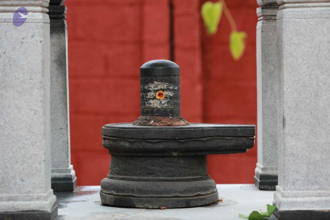 20161212 Photo 1516 1eBYMz1BF 7rFcCART83eYdWyDnHFZbXO.JPG