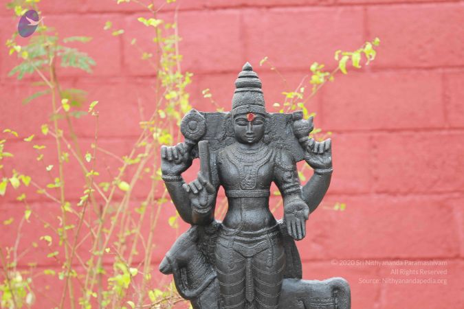 20161212 Photo 1521 1NLR9PGgZlQF5vE4FNG5fx-XKi3Tunhqo.JPG