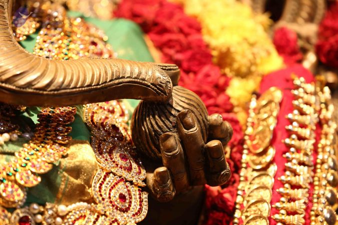 20161212 Photo 1548 1FZPoYHANxktFn8MnHFdsH7WIP4dkfOzw.JPG