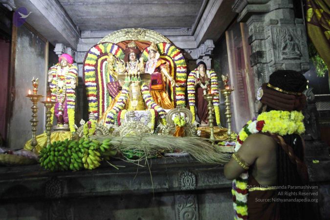 20161212 Photo 1591 18FLGvfz9Gmjw8xFzcuGjtaz557hWDB9I.JPG