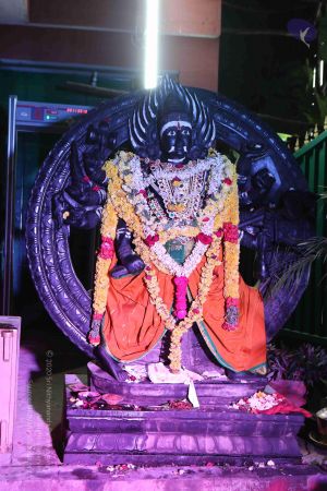 20161212 Photo 1600 1vAkKDmN2PddrHROMMGItF9- 3GxwPR54.JPG