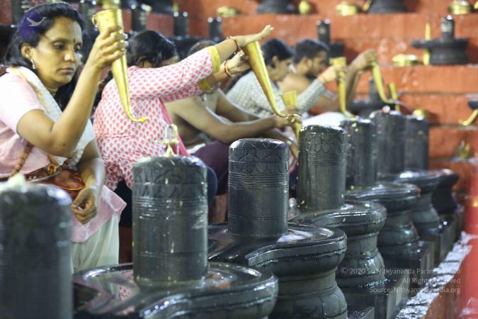 20161212 Photo 1608 1GUY4neUCbRePFqJbVBduRdL1cyYr7efr.JPG