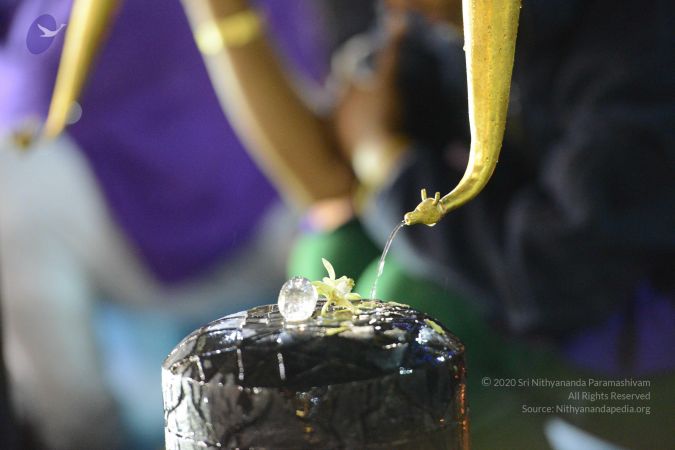 20161212 Photo 1630 1VuIHVODeQ4-kbPgDKOQmzyvVmzpvxEYa.JPG