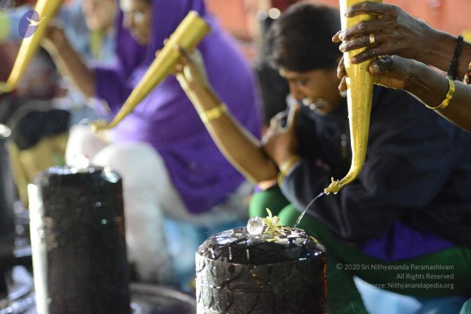 20161212 Photo 1631 1ueSTkos0PwDGaYv1o02 RE31Q8klKgn2.JPG