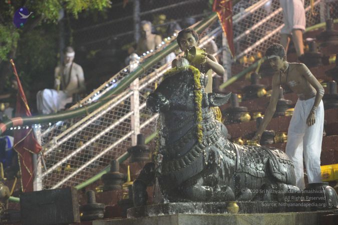 20161212 Photo 1634 1syyBye6JhPpHbTbkAiW1twm0SV7dyvAx.JPG