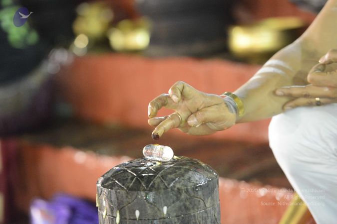 20161212 Photo 1647 1CGafwGNGH4SQkFLALSMM6vczlxpKJVu3.JPG