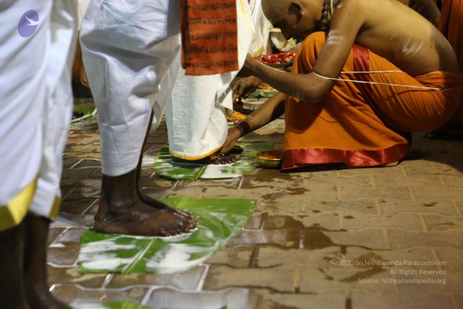 20161212 Photo 1671 1C0xjvrkIs2Z8zJORkNKF1zPS8P0PTcel.JPG