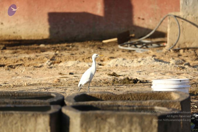 20161212 Photo 1882 1CjU3qUOmE4Krsa2q1hojotXdJQgZZsLP.JPG