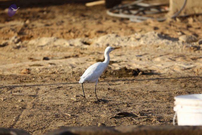 20161212 Photo 1885 1p-JBzMGGKFucJwMiMhJdPOjx57 n4w26.JPG