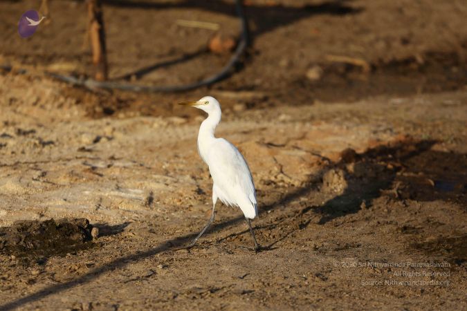 20161212 Photo 1886 1RghmJMa04ZRKKRDNT GCTY3knoYkqk9n.JPG