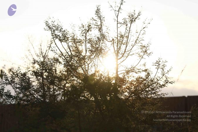 20161212 Photo 1923 1FHfcYtewqTbR10RRzx1nZY-pH3UebvZE.JPG