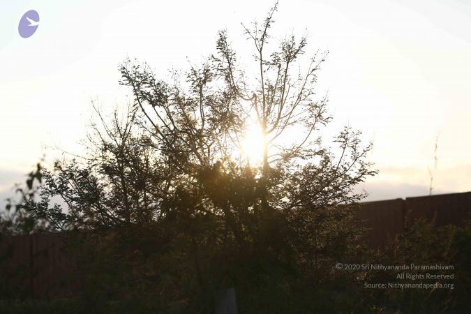 20161212 Photo 1924 1tbCeIUsSzpGV- IayNQEkc3MZH51Glpn.JPG