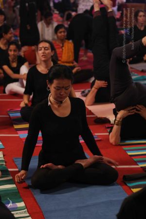 20161212 Photo 2133 1BxaNr0hnxxhX-047mGm0WhOg97ziPlge.JPG